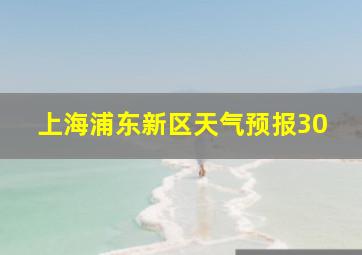 上海浦东新区天气预报30