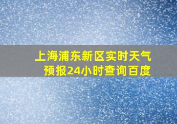 上海浦东新区实时天气预报24小时查询百度