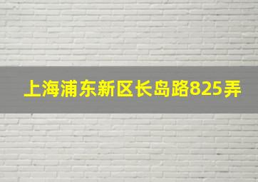 上海浦东新区长岛路825弄