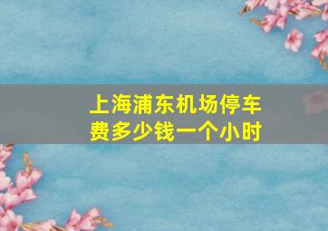 上海浦东机场停车费多少钱一个小时