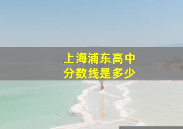 上海浦东高中分数线是多少