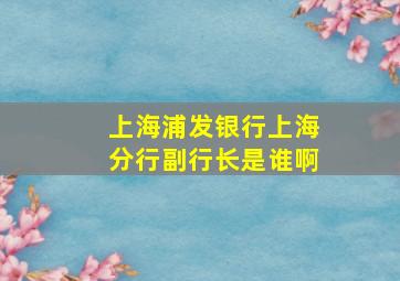 上海浦发银行上海分行副行长是谁啊