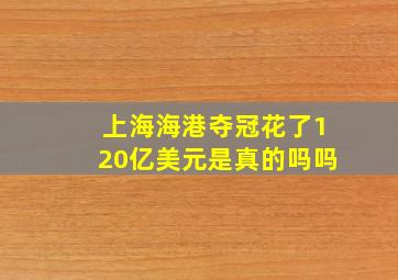 上海海港夺冠花了120亿美元是真的吗吗