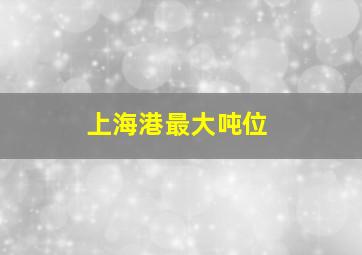 上海港最大吨位