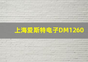 上海爱斯特电子DM1260