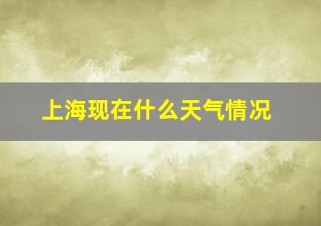 上海现在什么天气情况