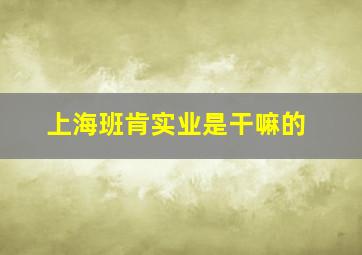 上海班肯实业是干嘛的