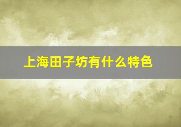 上海田子坊有什么特色