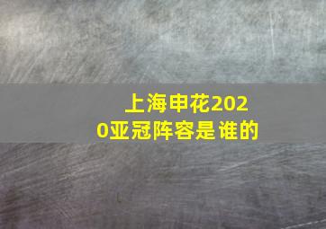 上海申花2020亚冠阵容是谁的