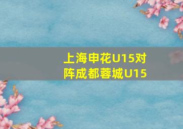 上海申花U15对阵成都蓉城U15