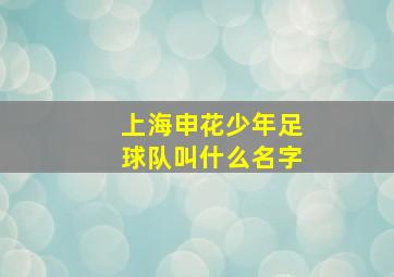 上海申花少年足球队叫什么名字