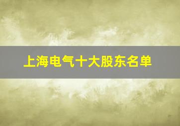 上海电气十大股东名单