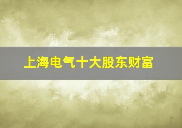 上海电气十大股东财富