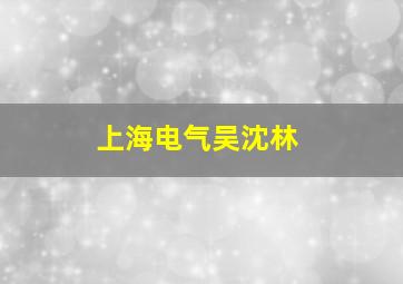 上海电气吴沈林