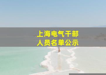 上海电气干部人员名单公示