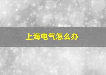 上海电气怎么办