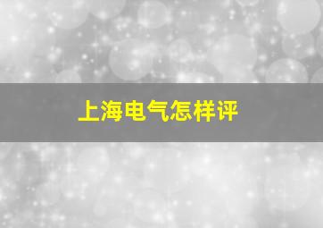 上海电气怎样评