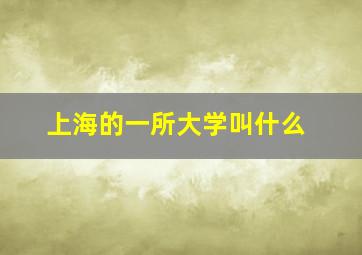 上海的一所大学叫什么