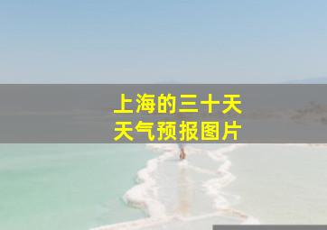 上海的三十天天气预报图片