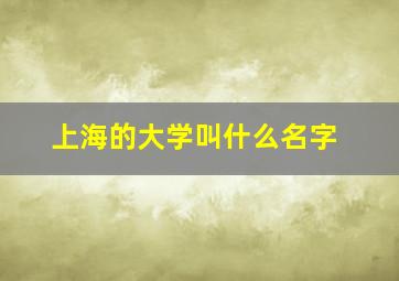 上海的大学叫什么名字