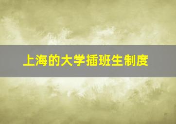 上海的大学插班生制度