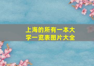 上海的所有一本大学一览表图片大全