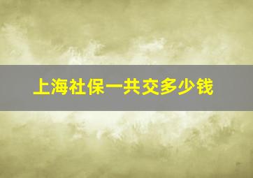 上海社保一共交多少钱