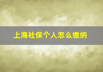 上海社保个人怎么缴纳