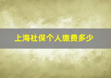 上海社保个人缴费多少