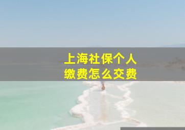 上海社保个人缴费怎么交费