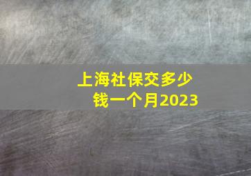 上海社保交多少钱一个月2023