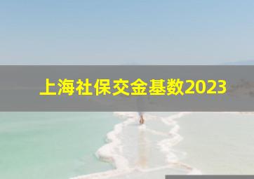 上海社保交金基数2023