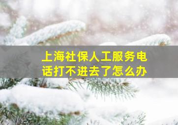 上海社保人工服务电话打不进去了怎么办