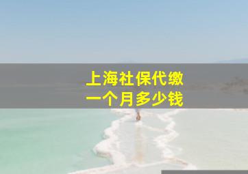 上海社保代缴一个月多少钱