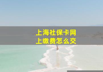 上海社保卡网上缴费怎么交