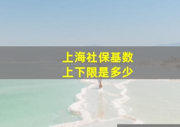 上海社保基数上下限是多少