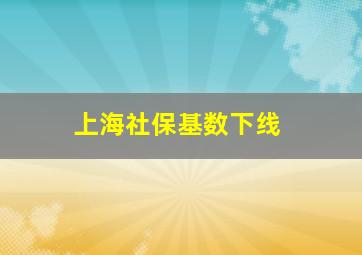 上海社保基数下线