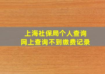 上海社保局个人查询网上查询不到缴费记录