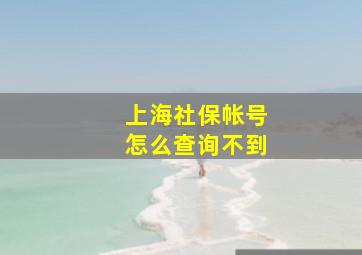 上海社保帐号怎么查询不到