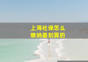 上海社保怎么缴纳最划算的