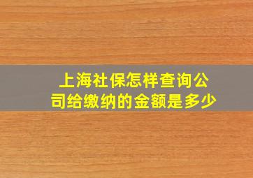 上海社保怎样查询公司给缴纳的金额是多少