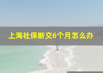 上海社保断交6个月怎么办