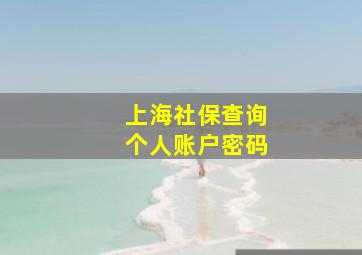 上海社保查询个人账户密码