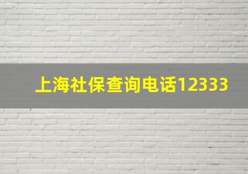 上海社保查询电话12333