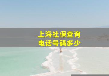 上海社保查询电话号码多少