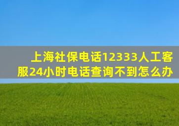 上海社保电话12333人工客服24小时电话查询不到怎么办