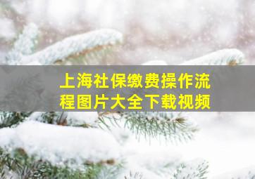 上海社保缴费操作流程图片大全下载视频