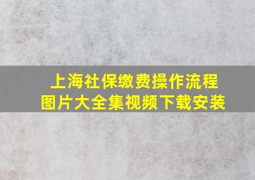 上海社保缴费操作流程图片大全集视频下载安装