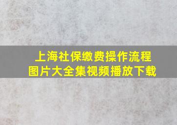 上海社保缴费操作流程图片大全集视频播放下载