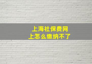 上海社保费网上怎么缴纳不了